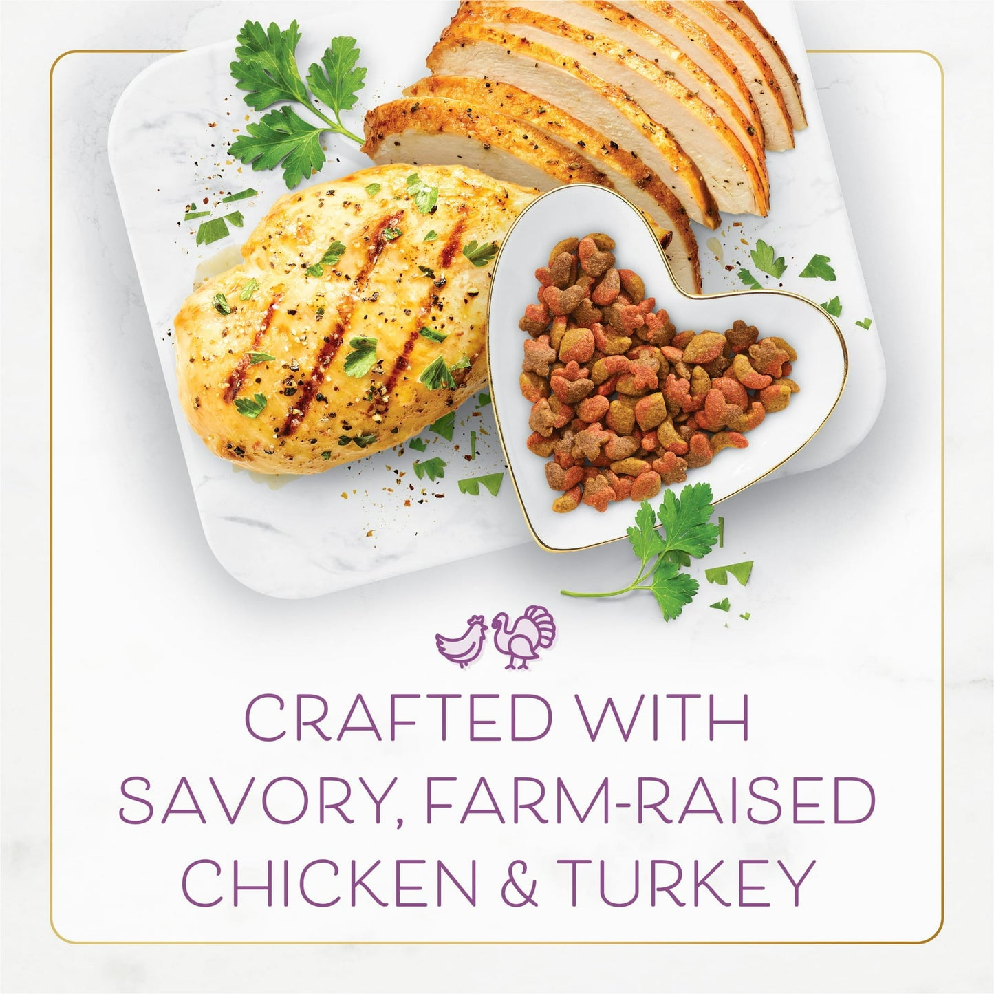 Fancy Feast Dry:W/Savory Chicken & Turkey (Ps #5092541)