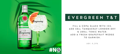 Tanqueray Imported 200 ml