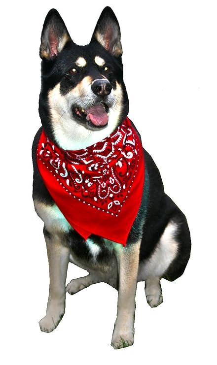 SUPER BANDANA RED