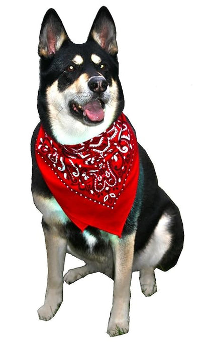 SUPER BANDANA RED