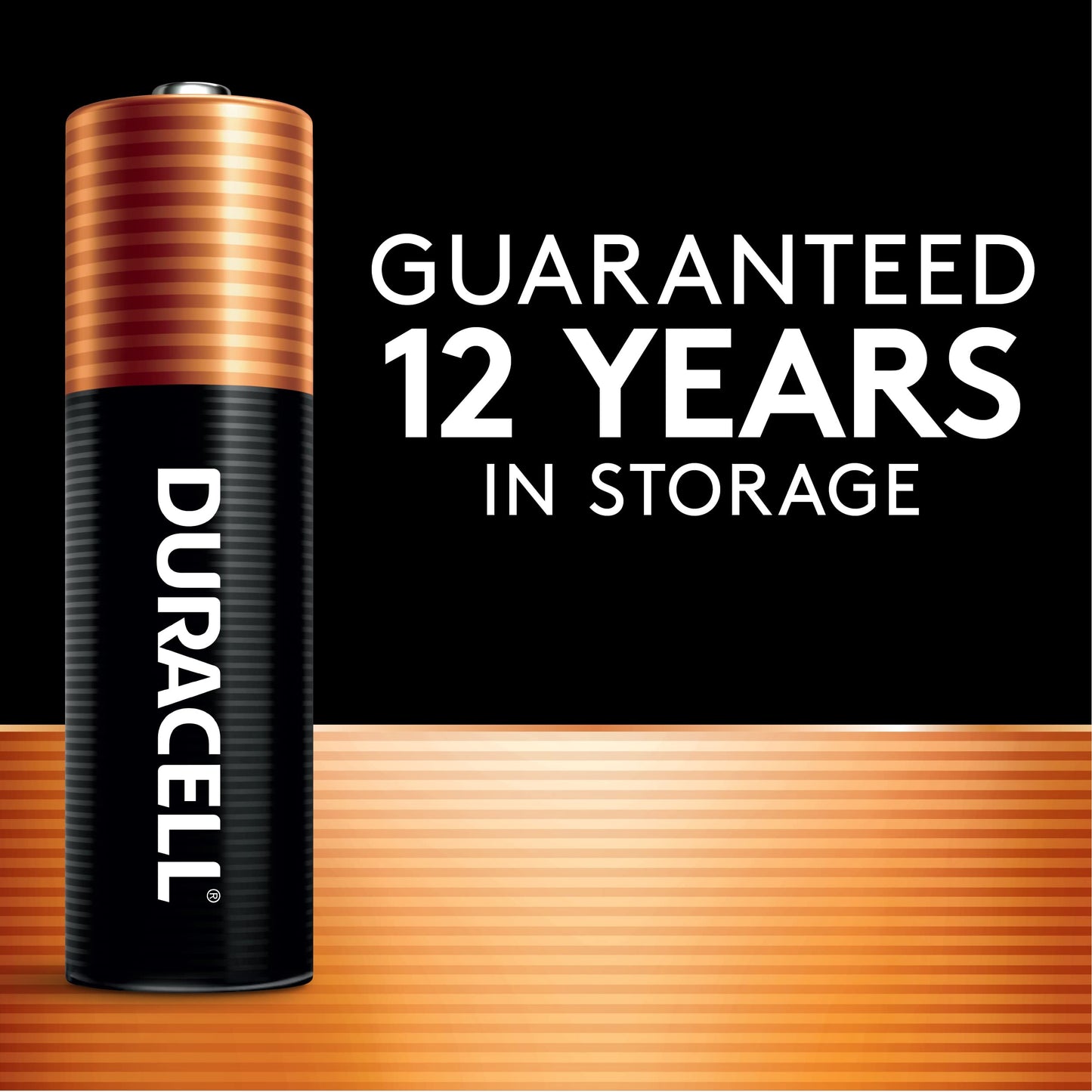 Duracell Coppertop Duralock Power Preserve Aa Alkaline Batteries