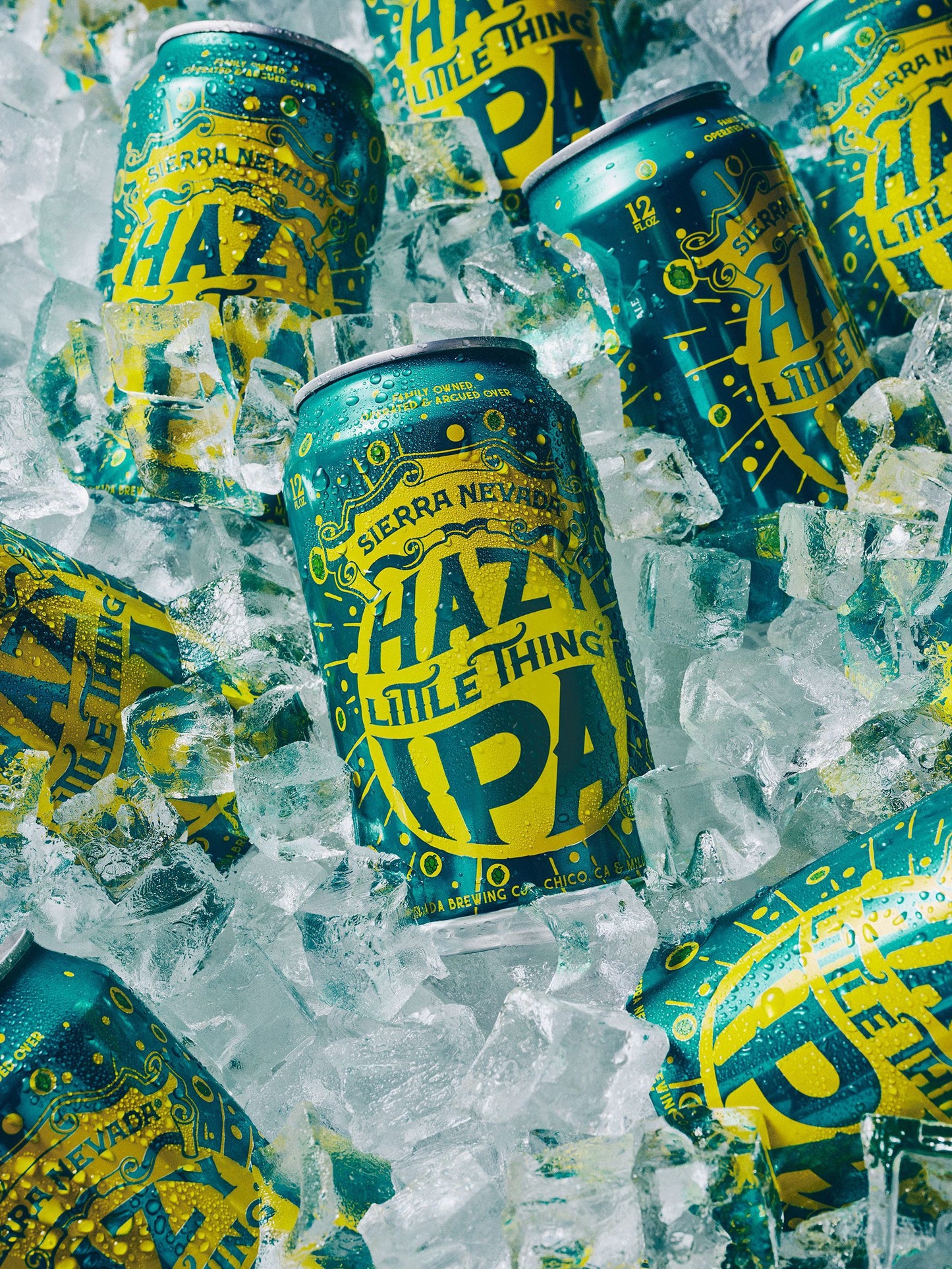Sierra Navada Hazy Ipa, Single, 19.2 Oz, Can