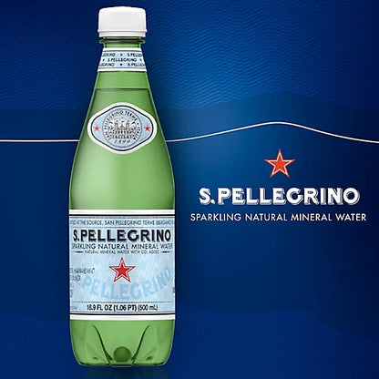 S. Pellegrino Sparkling Natural Mineral Water 16.9
