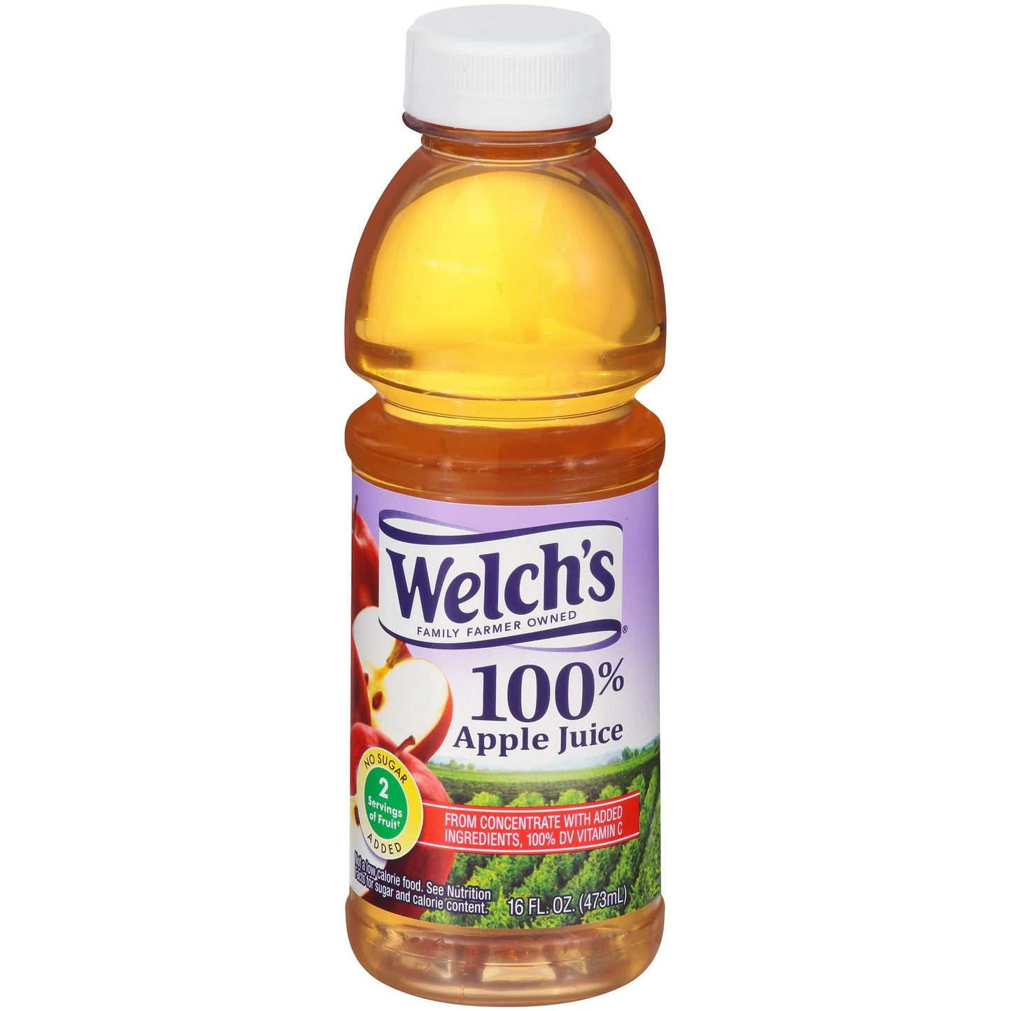Welch's Apple Juice 16oz