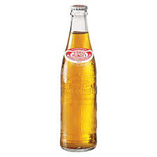 Sidral Mundet Apple Soda