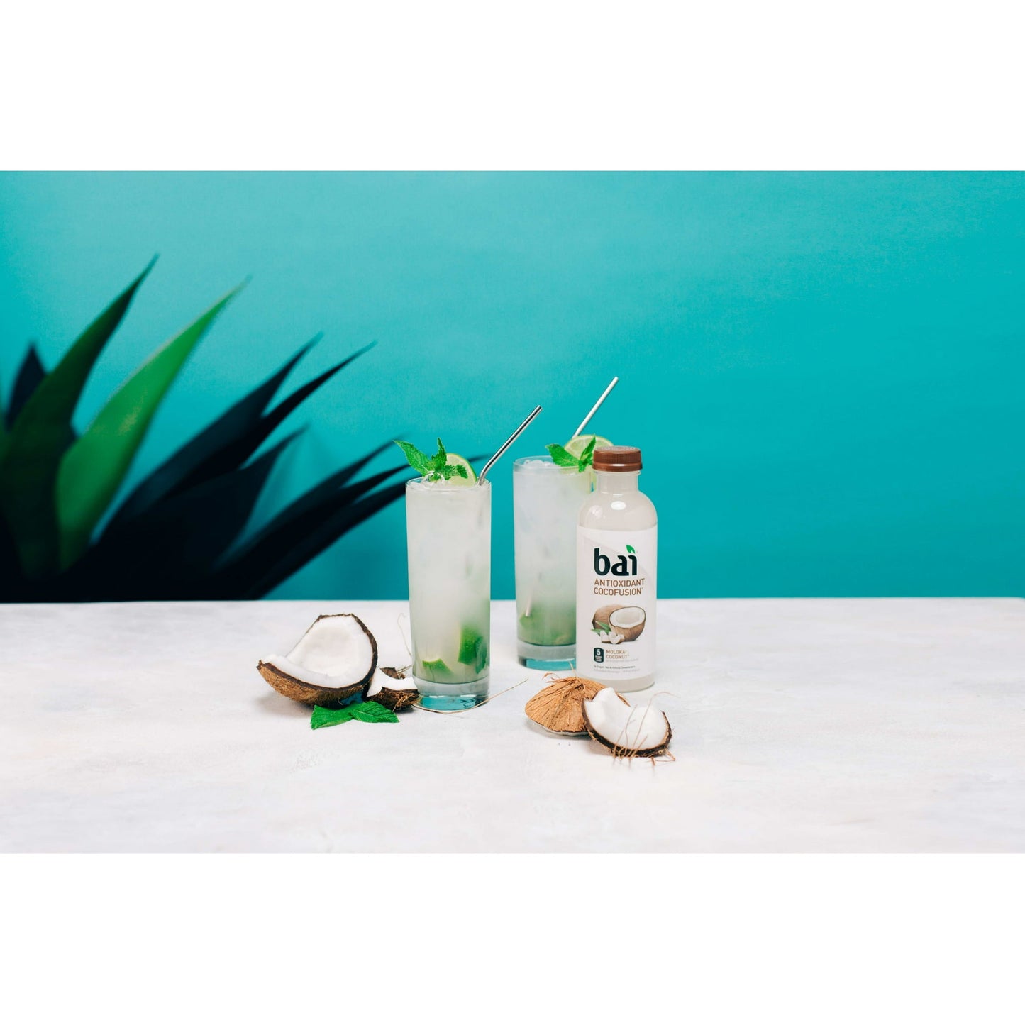 Bai Antioxidant Coconut Lemon