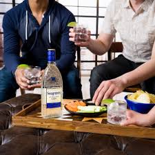 Seagram\'s Extra Dry Gin-375ml
