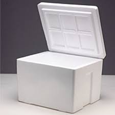 30QT Foam Ice Chest