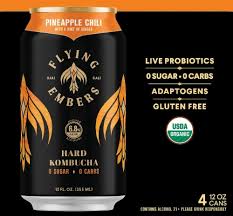 Flying Members Koumbucha 16 oz