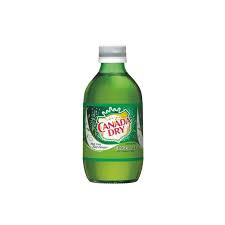 Canada Dry, 10oz, Bottle