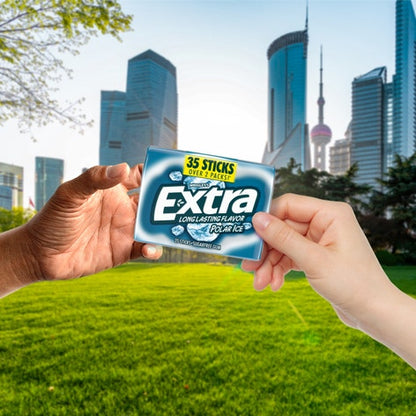 Extra Gum Polar Ice
